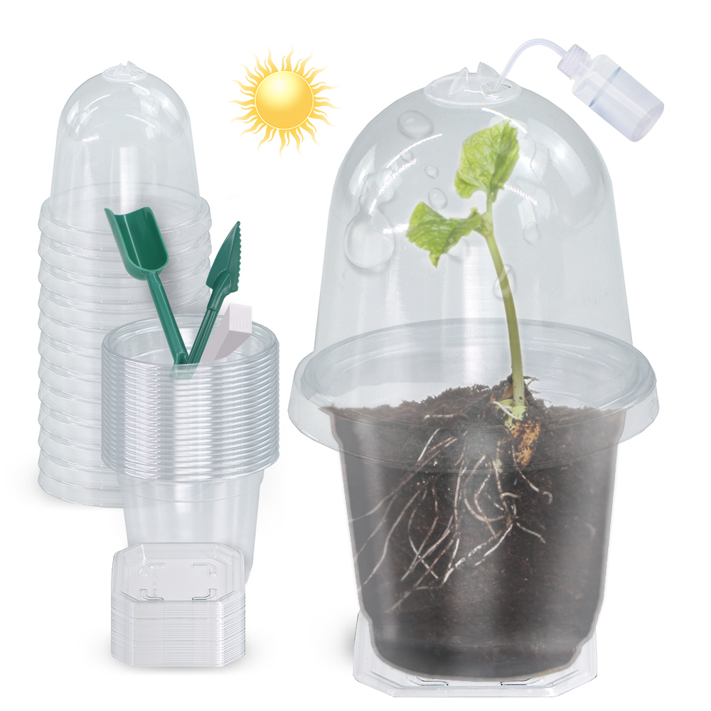 Seed Starter Trays - 160x90CM Visible Clear Plants Germination Cup