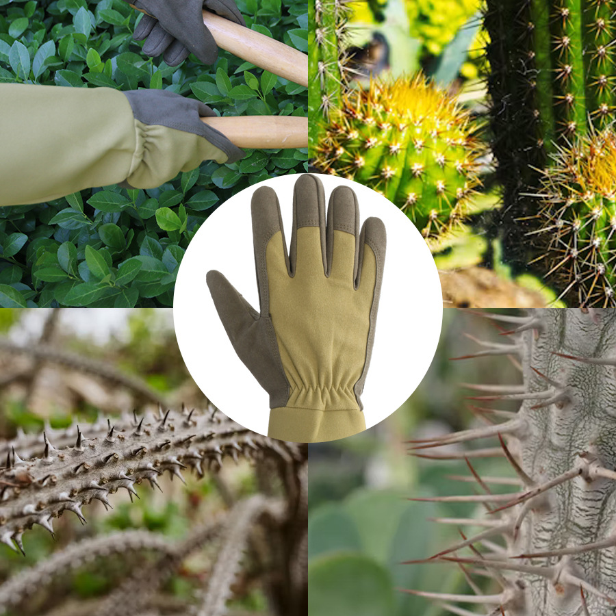 Long Style Gardening Gloves Th - Garden Gloves Thorn Proof 评论和价格