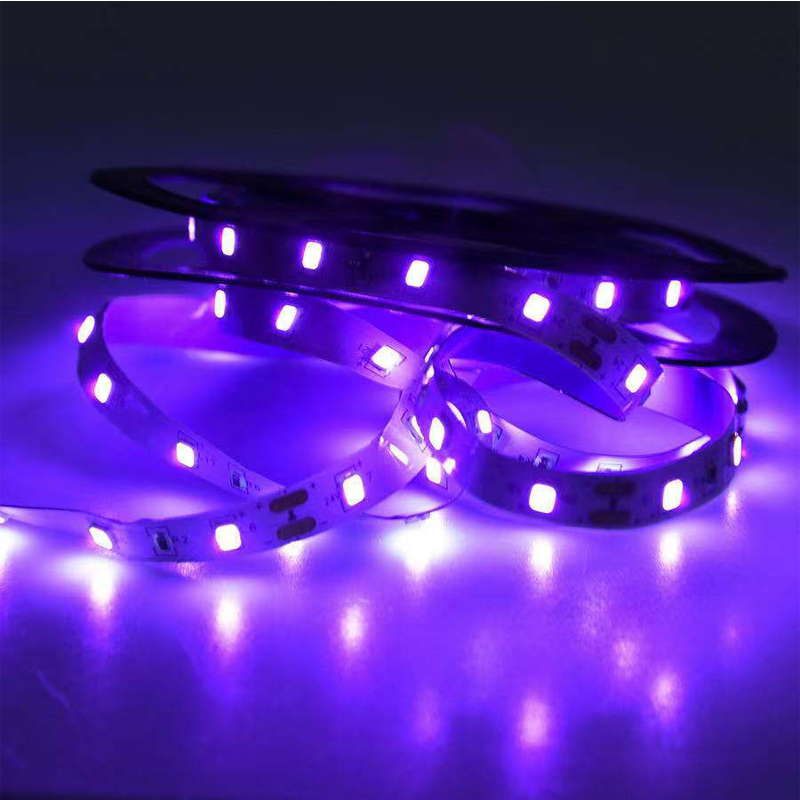UV LED Ultraviolet Light, Blac - Led Grow Light 评论和价格