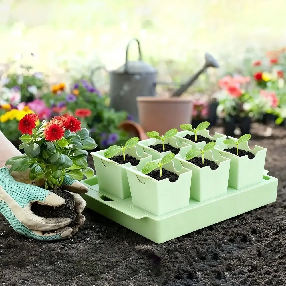 Dual-Purpose Seed Starter Tray - Seed Starter Trays 评论和价格