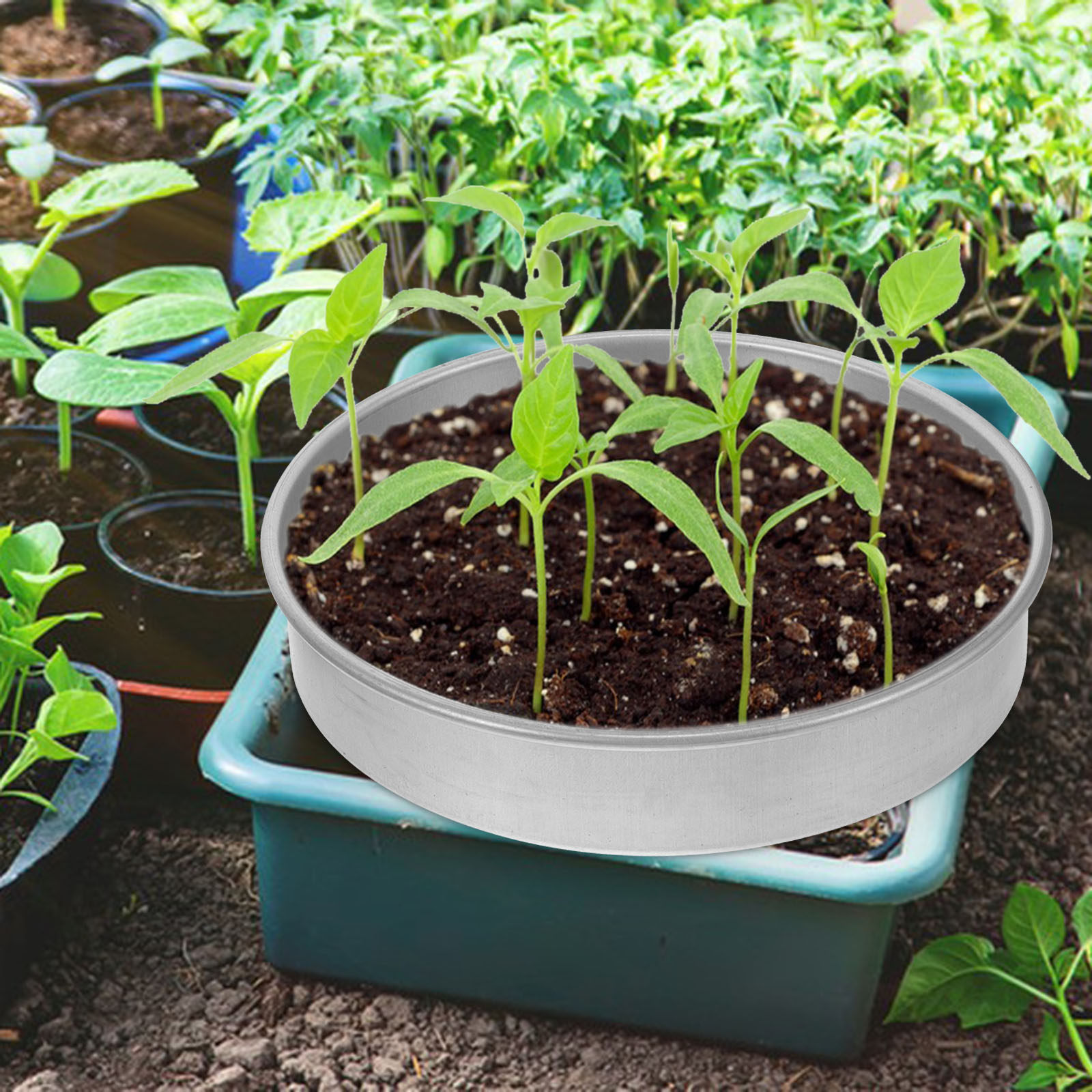 1Set Germination Tray Stainles - Seed Starter Trays 评论和价格