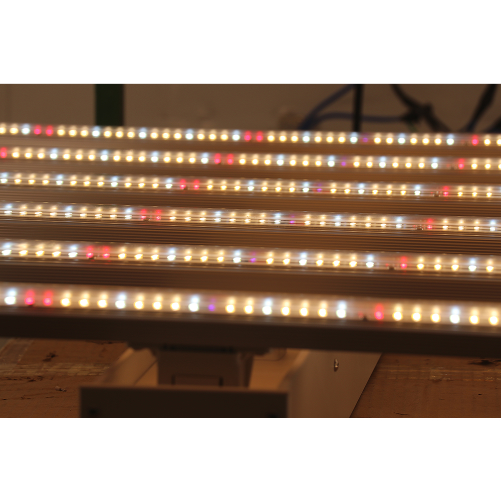 2023 Drop-shipping Factory Dir - Led Grow Light 评论和价格