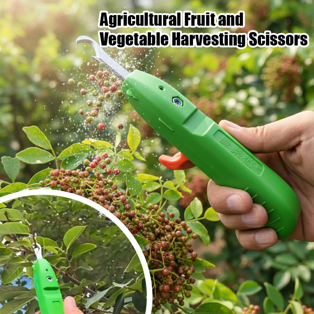 Fruit And Vegetable Picking Sh - Gardening Tools Hand 评论和价格