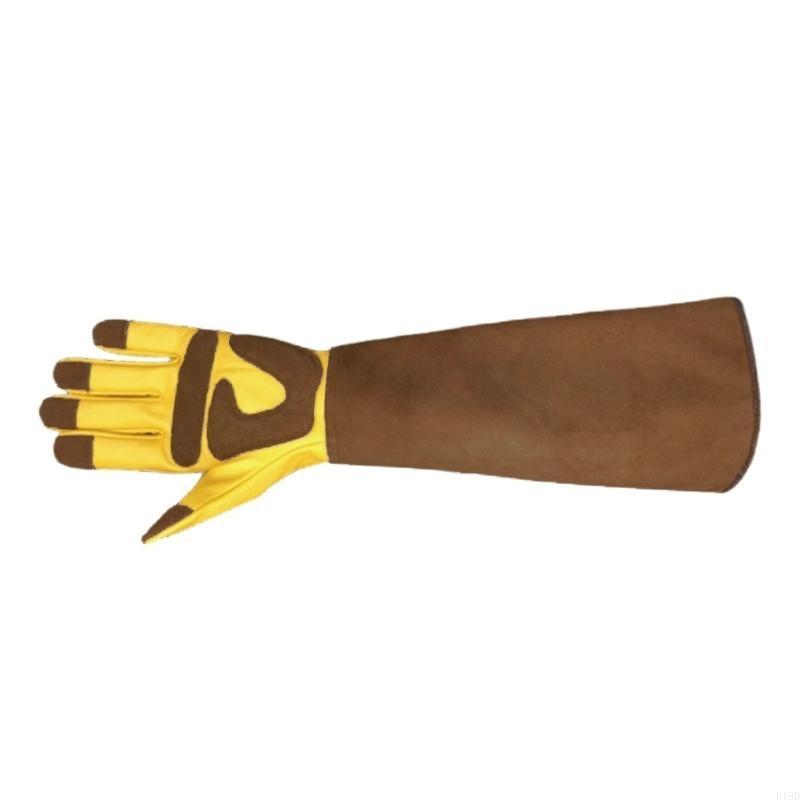 F19B 1 Pair Long Gardening Glo - Garden Gloves Thorn Proof 评论和价格