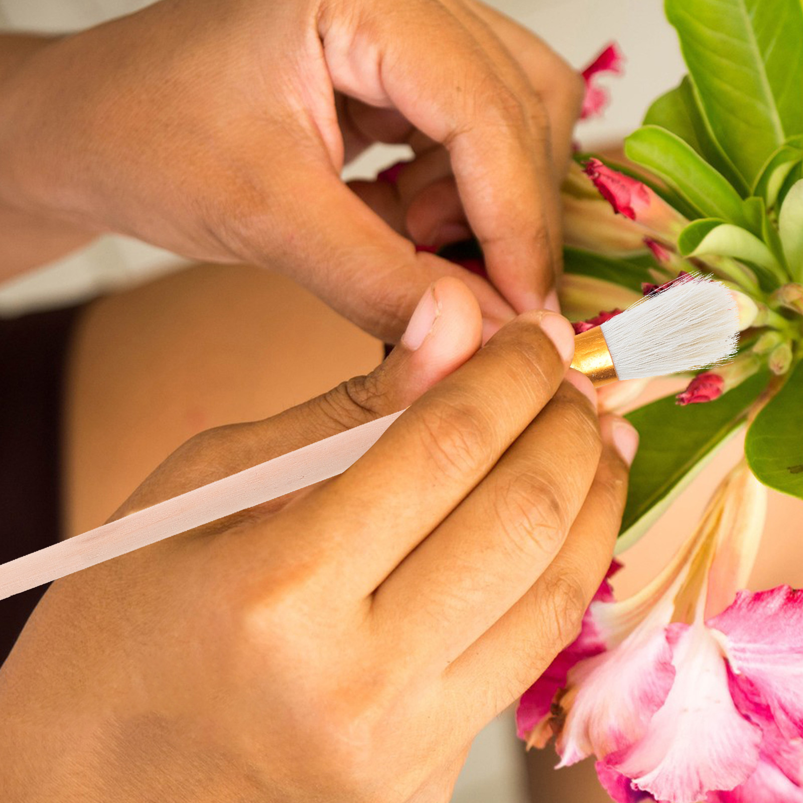 12Pcs Pollination Pen Soft Bri - Gardening Tools Hand 评论和价格