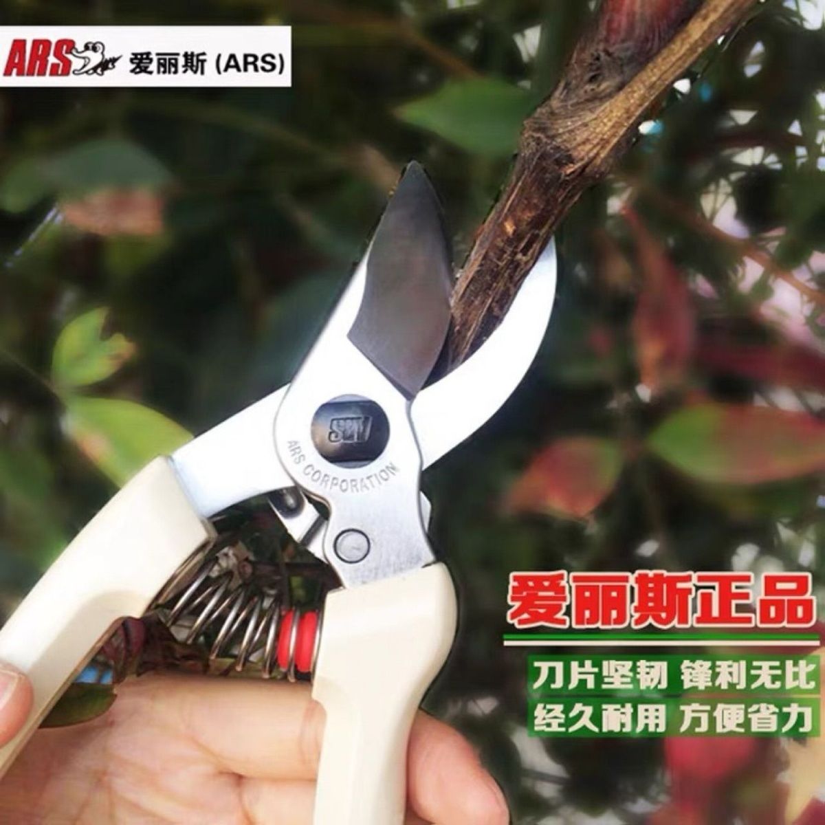 Pruning scissors, garden tools - Gardening Tools Japan 评论和价格