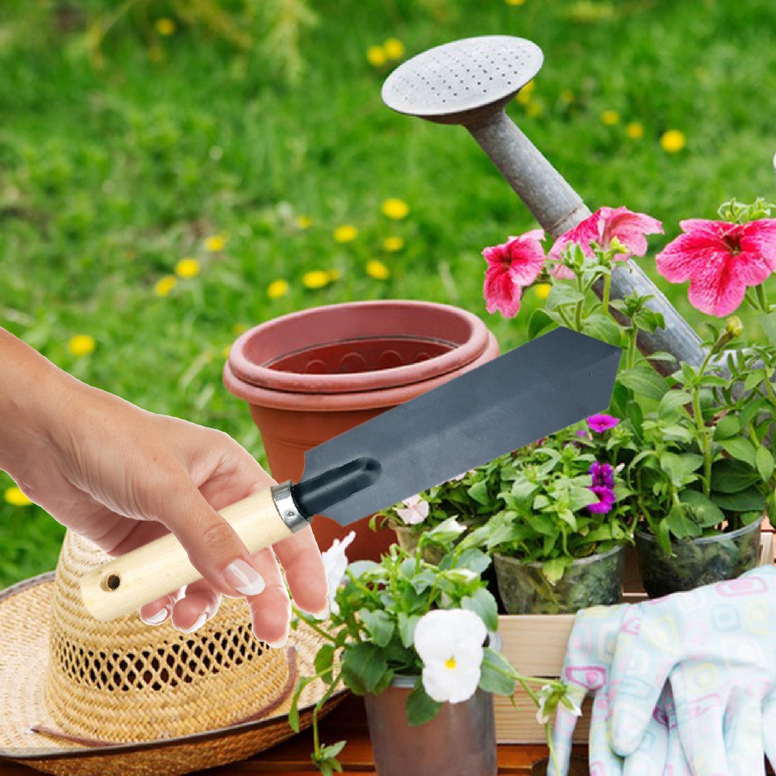 Small Garden Spade Digging Too - Gardening Tools Hand 评论和价格