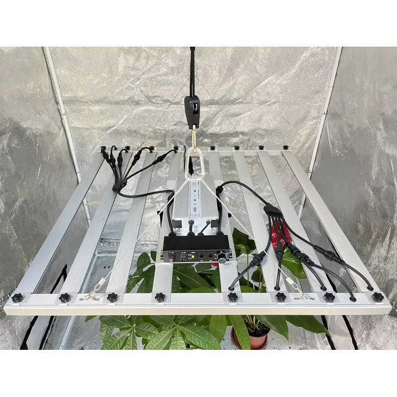 600W Grow Light Driver Inventr - Led Grow Light 评论和价格