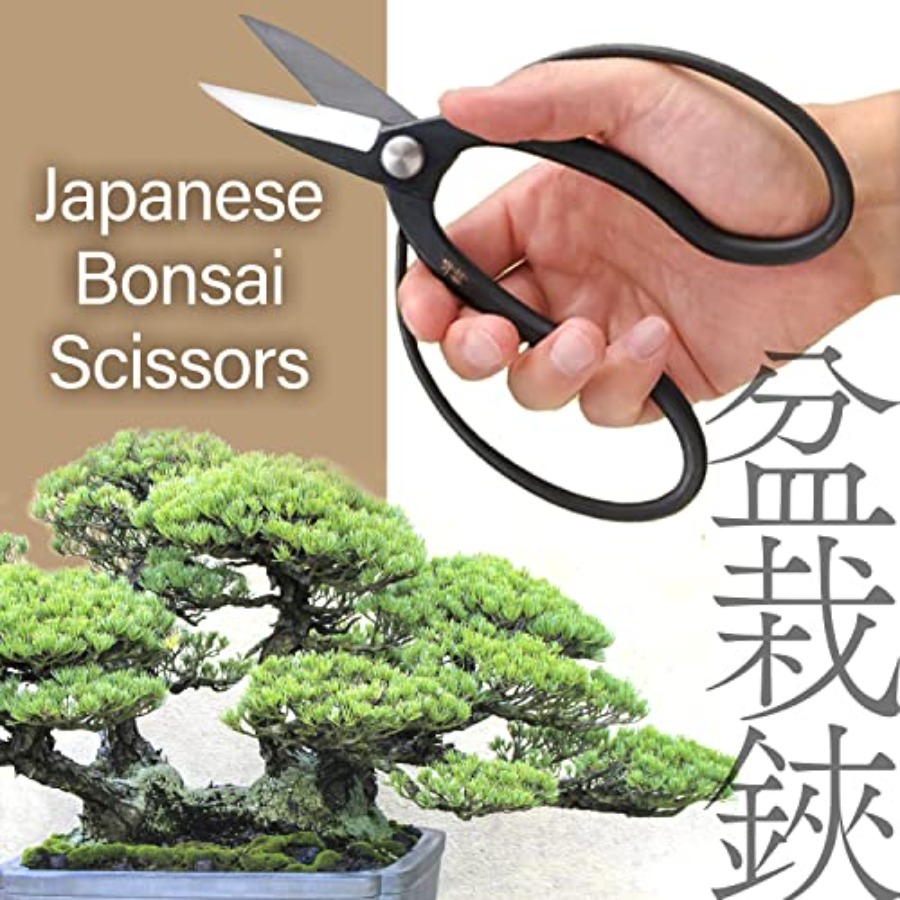 Japanese Suiryu Bonsai Scissor - Gardening Tools Japan 评论和价格