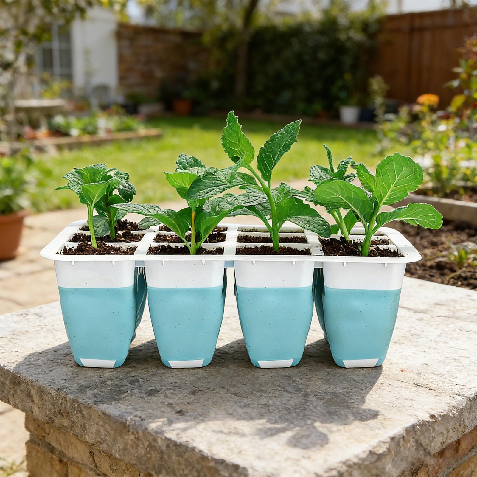 5 Pack Silicone Seed Starter T - Seed Starter Trays 评论和价格