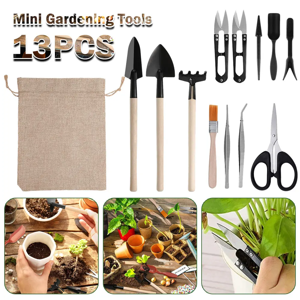 13PCS Succulent Plants Tool Se - Gardening Tools Sale 评论和价格