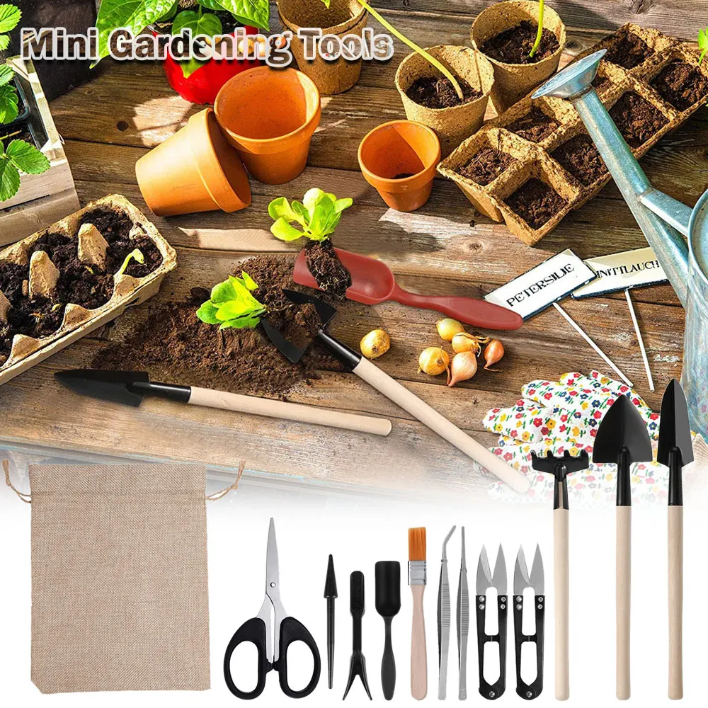 13PCS Succulent Plants Tool Se - Gardening Tools Sale 评论和价格