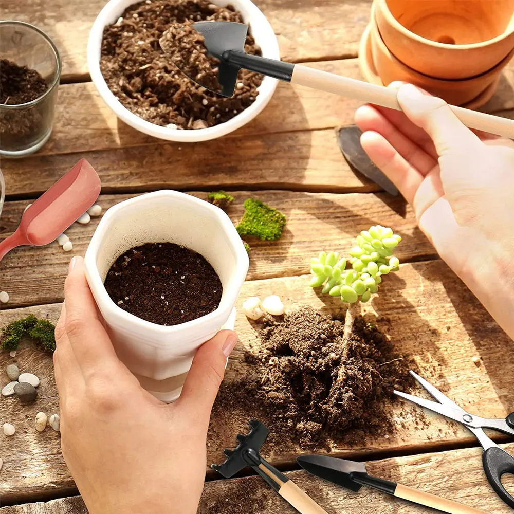 13PCS Succulent Plants Tool Se - Gardening Tools Sale 评论和价格