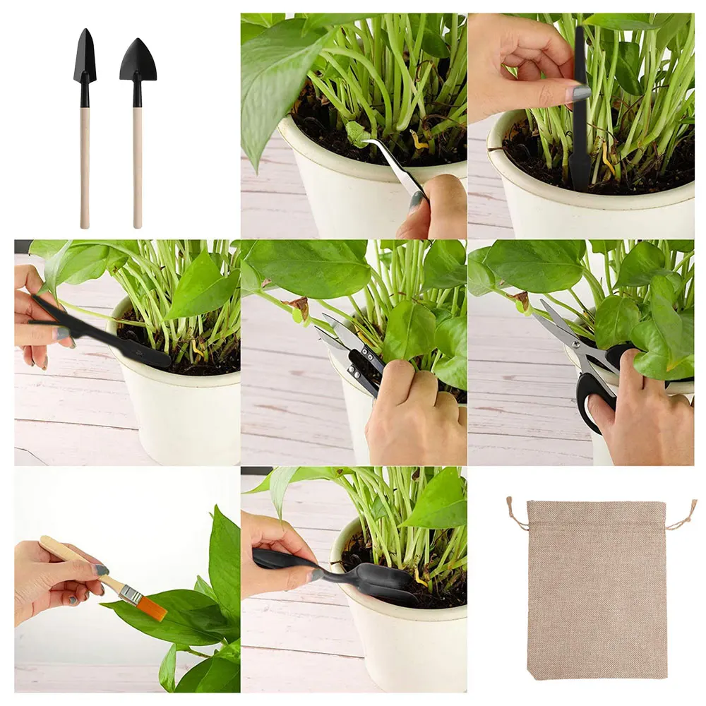 13PCS Succulent Plants Tool Se - Gardening Tools Sale 评论和价格