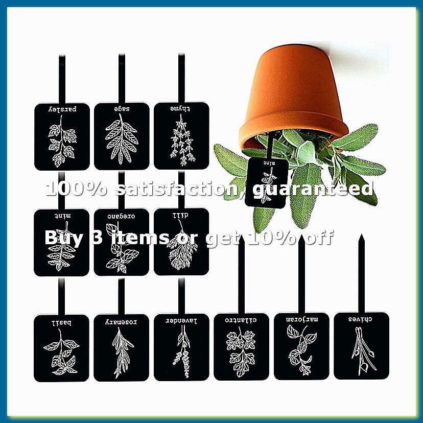 24Pcs Acrylic Plant Label Sign - Gardening Tools Names 评论和价格