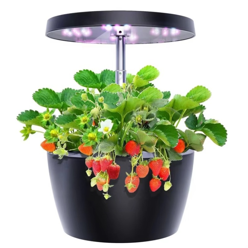 Irrigation and Hydroponics Equ - Seed Starter Trays 评论和价格