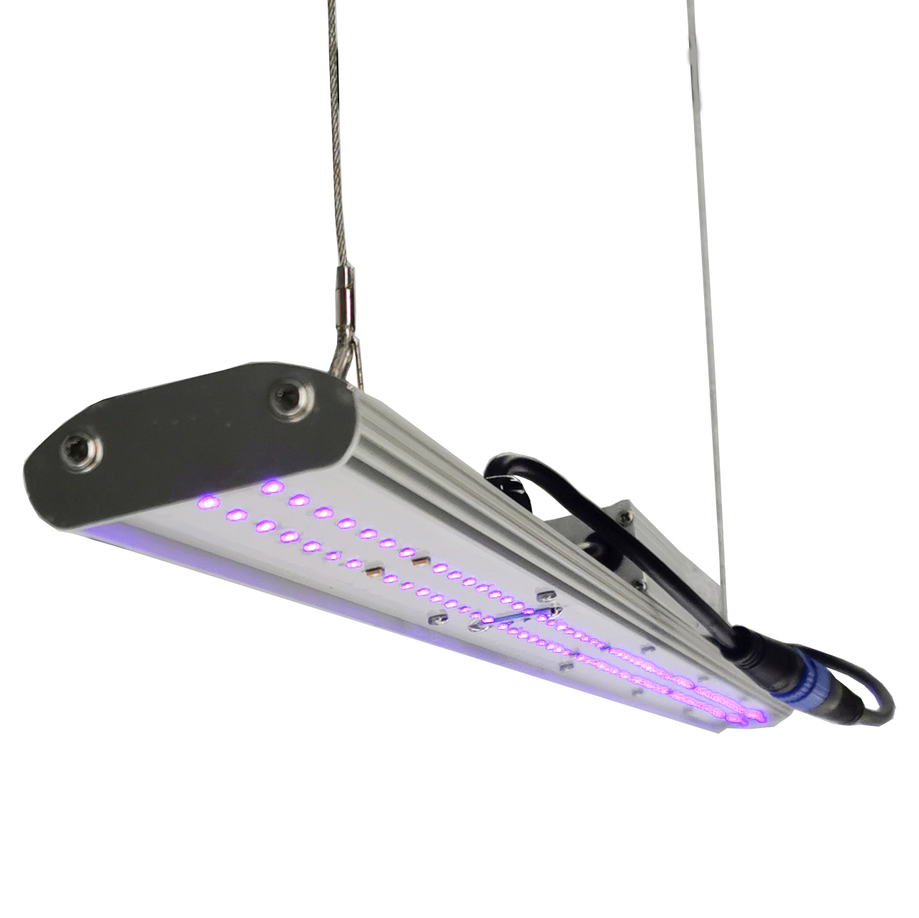 DANSE LED Manual Dimmer LED Gr - Led Grow Light 评论和价格