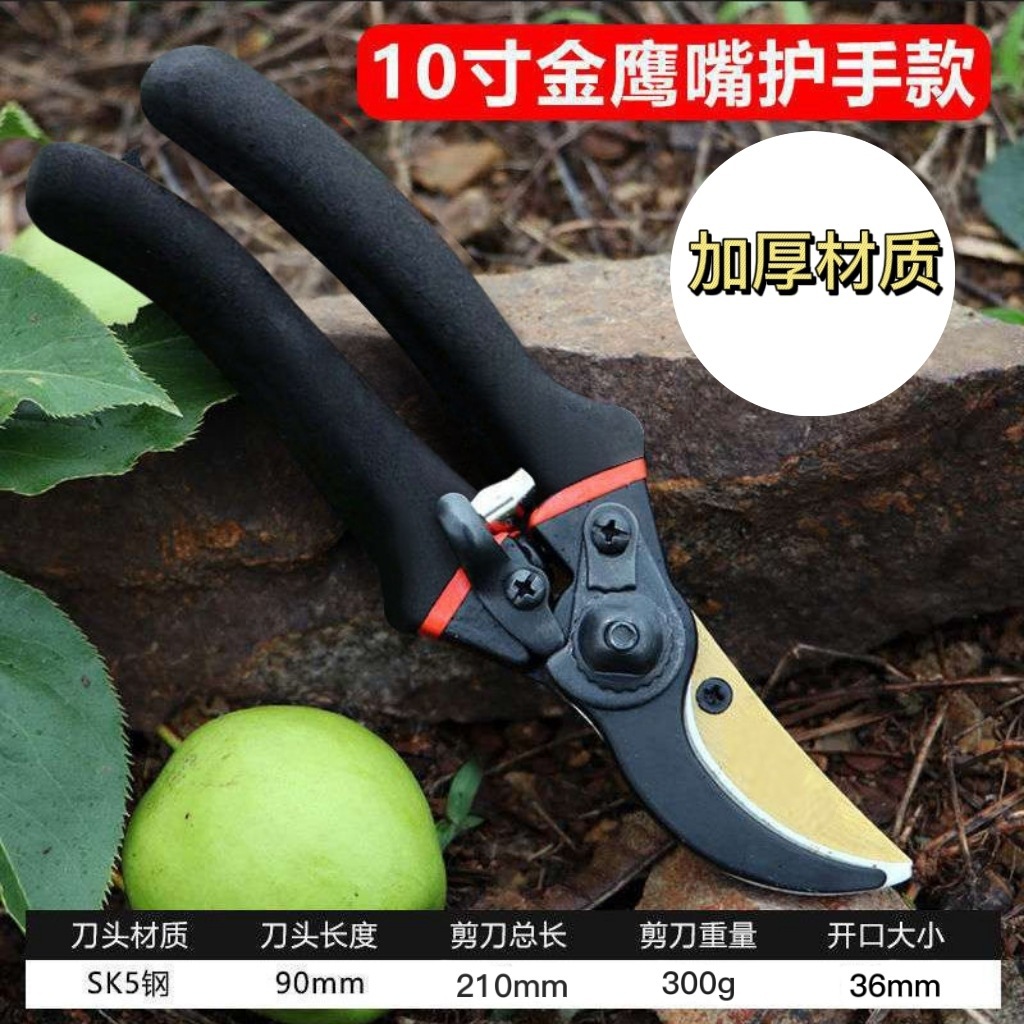 Japan Thickened SK5 Steel Bran - Gardening Tools Japan 评论和价格