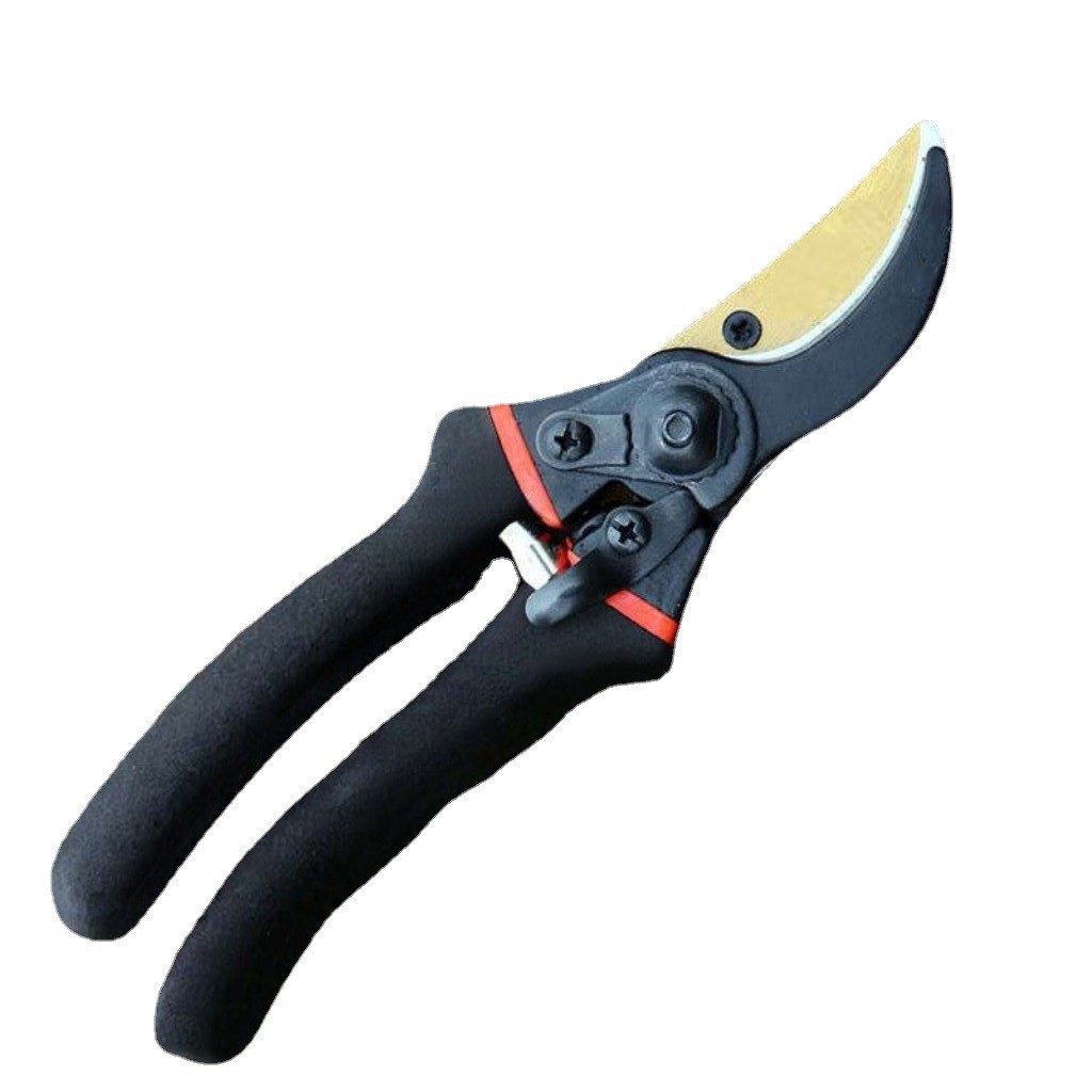 Japan Thickened SK5 Steel Bran - Gardening Tools Japan 评论和价格