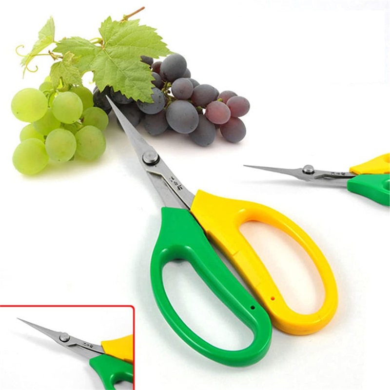 Multifunctional Alice Garden S - Gardening Tools Sale 评论和价格
