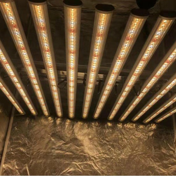 LUX China Factory Led Plant Li - Led Grow Light 评论和价格