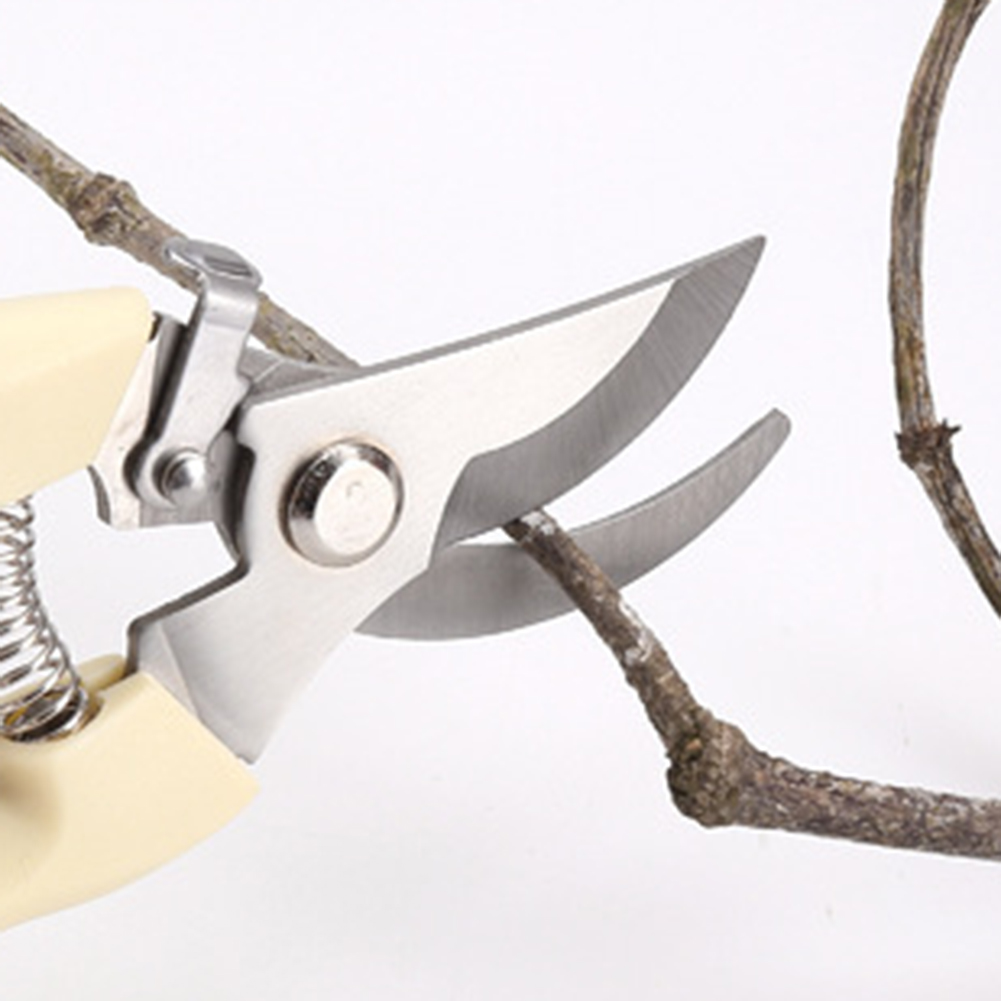 Pruner Shears Hand Tools Bonsa - Gardening Tools Sale 评论和价格
