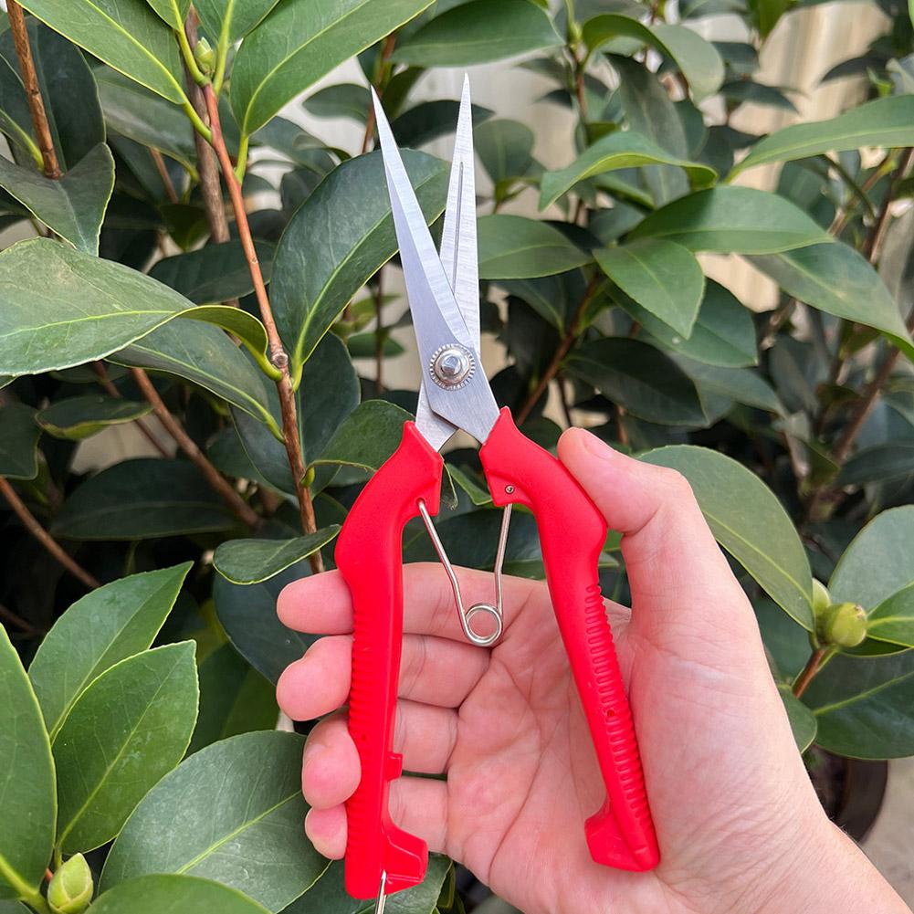 Pro Garden Pruning Shears Leng - Gardening Tools Hand 评论和价格