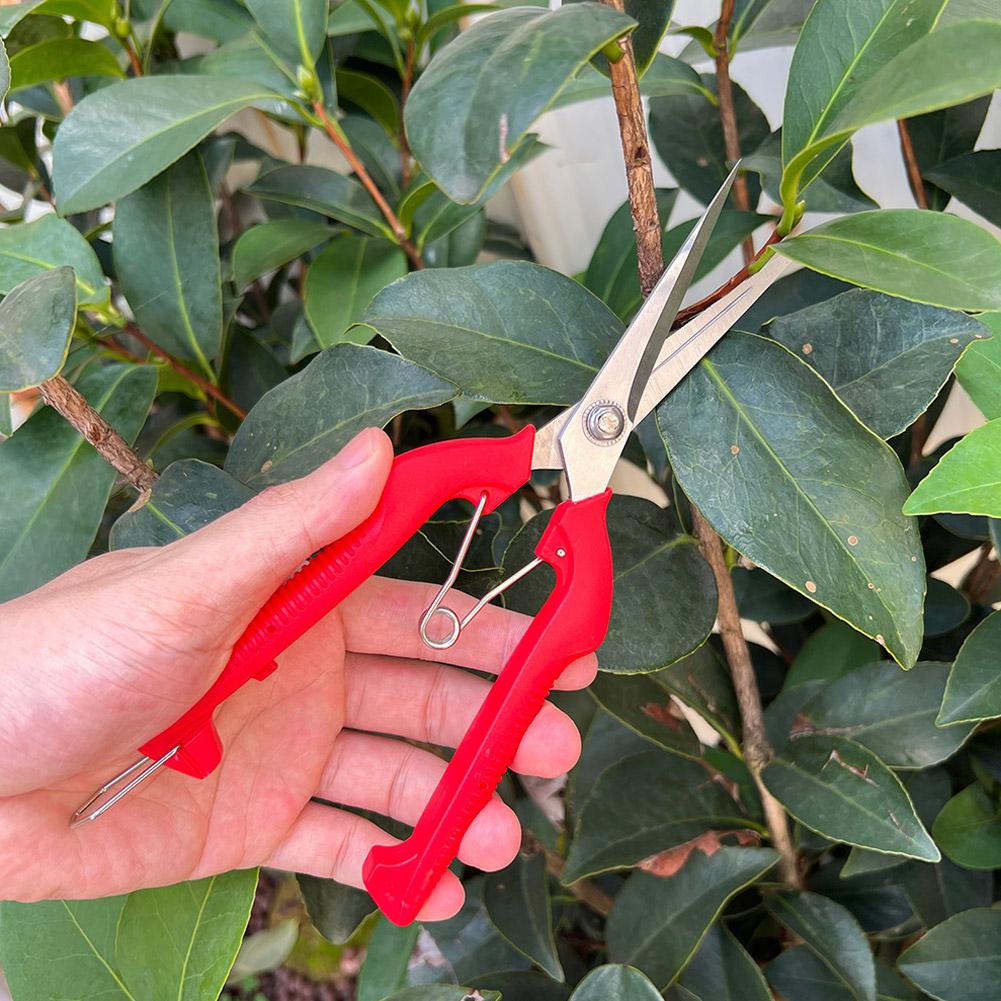 Pro Garden Pruning Shears Leng - Gardening Tools Hand 评论和价格