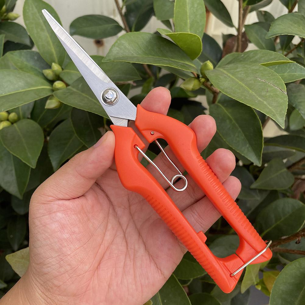Pro Garden Pruning Shears Leng - Gardening Tools Hand 评论和价格