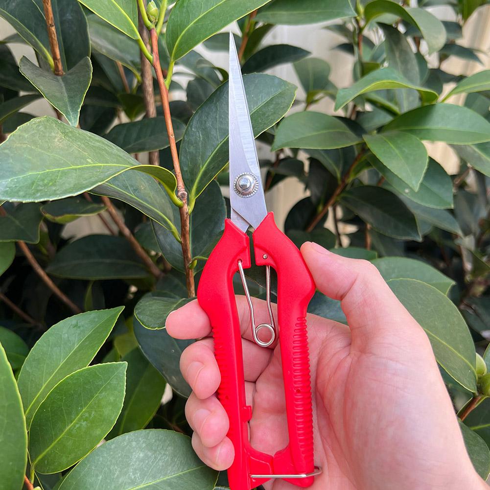 Pro Garden Pruning Shears Leng - Gardening Tools Hand 评论和价格
