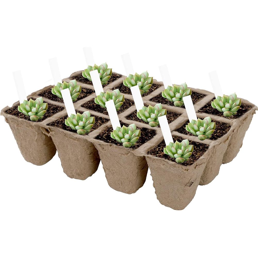 40 Pack Peat Pots Seed Starter - Seed Starter Trays 评论和价格