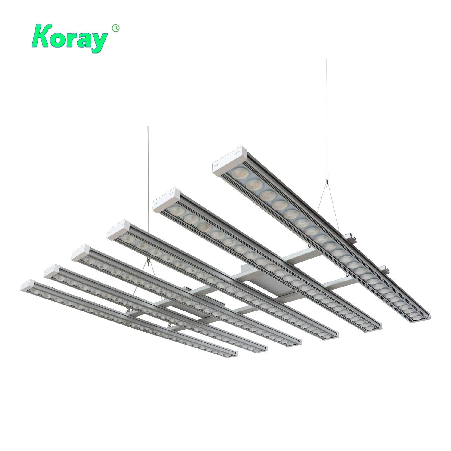 Koray 900W Indoor full spectru - Led Grow Light 评论和价格