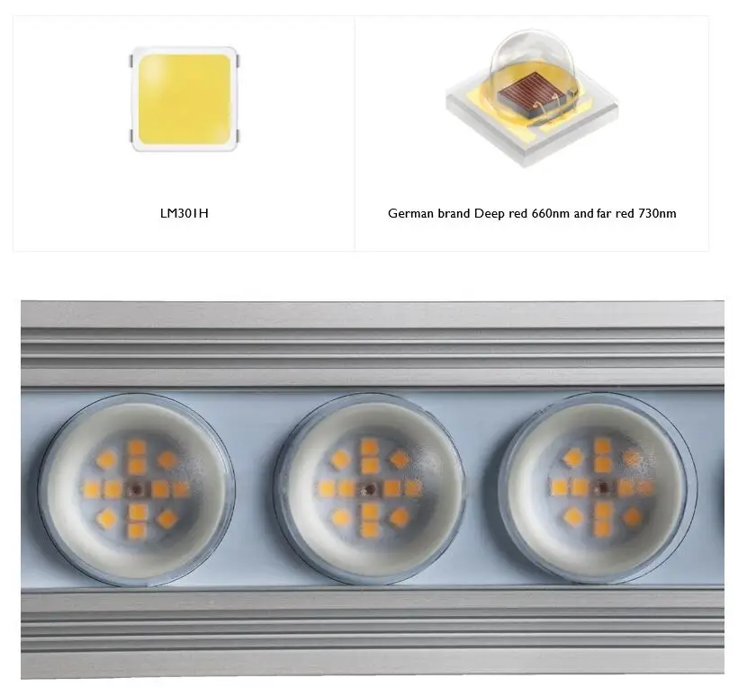 Koray 900W Indoor full spectru - Led Grow Light 评论和价格