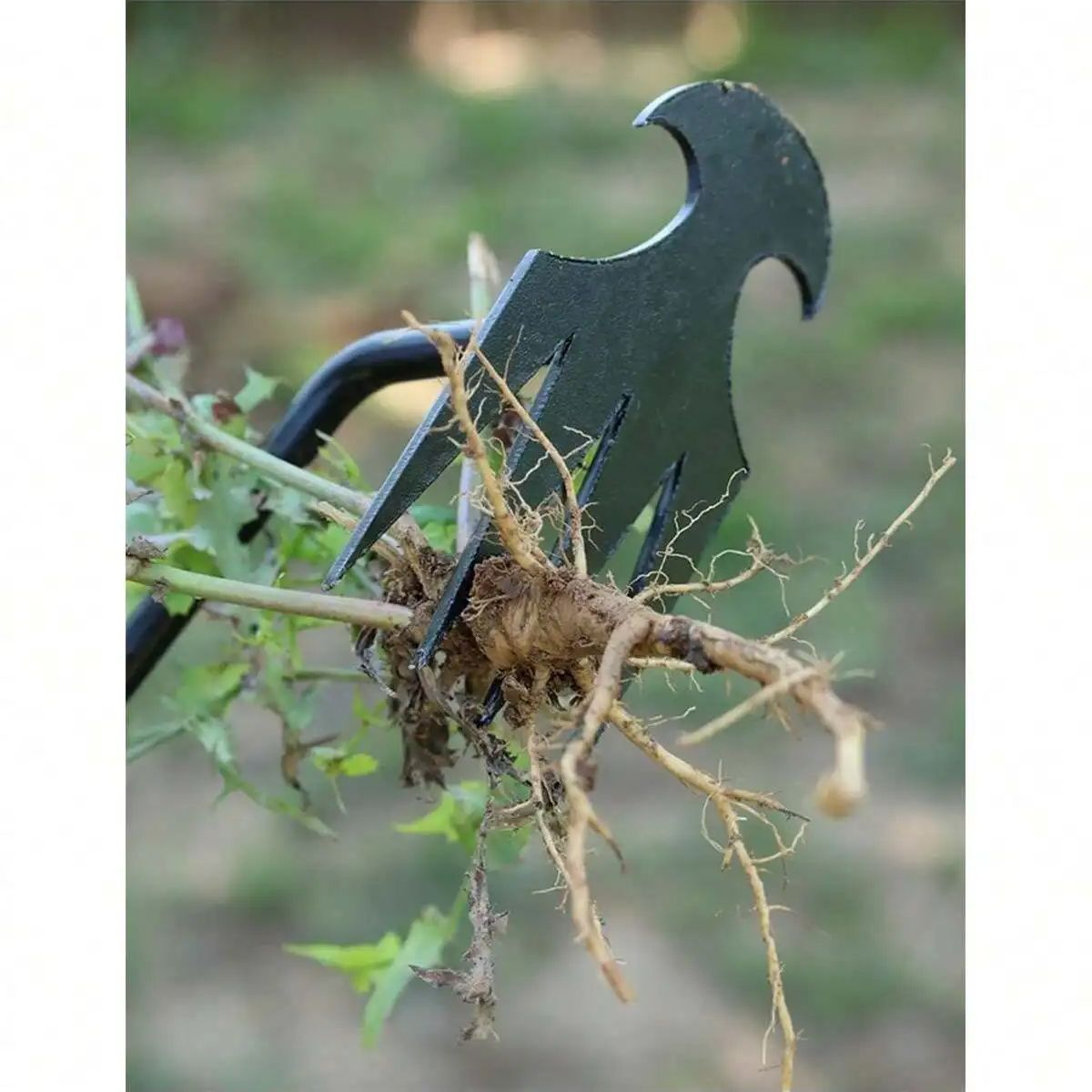 4 Teeths - Multifunctional Han - Gardening Tools Hand 评论和价格