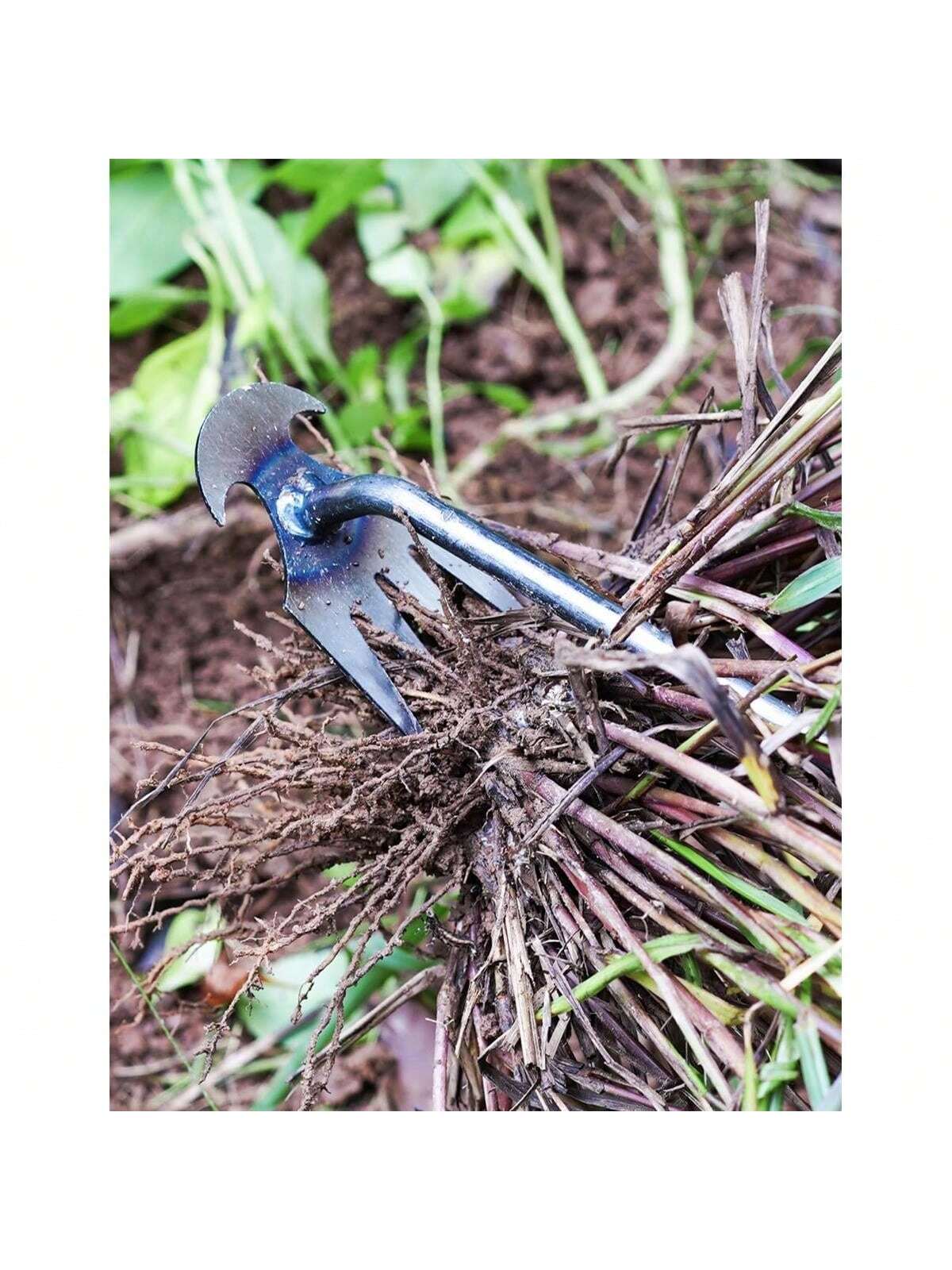 4 Teeths - Multifunctional Han - Gardening Tools Hand 评论和价格