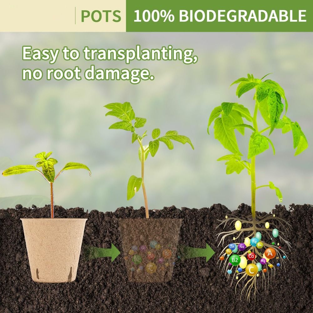 50PCS Biodegradable Plant Star - Seed Starter Trays 评论和价格