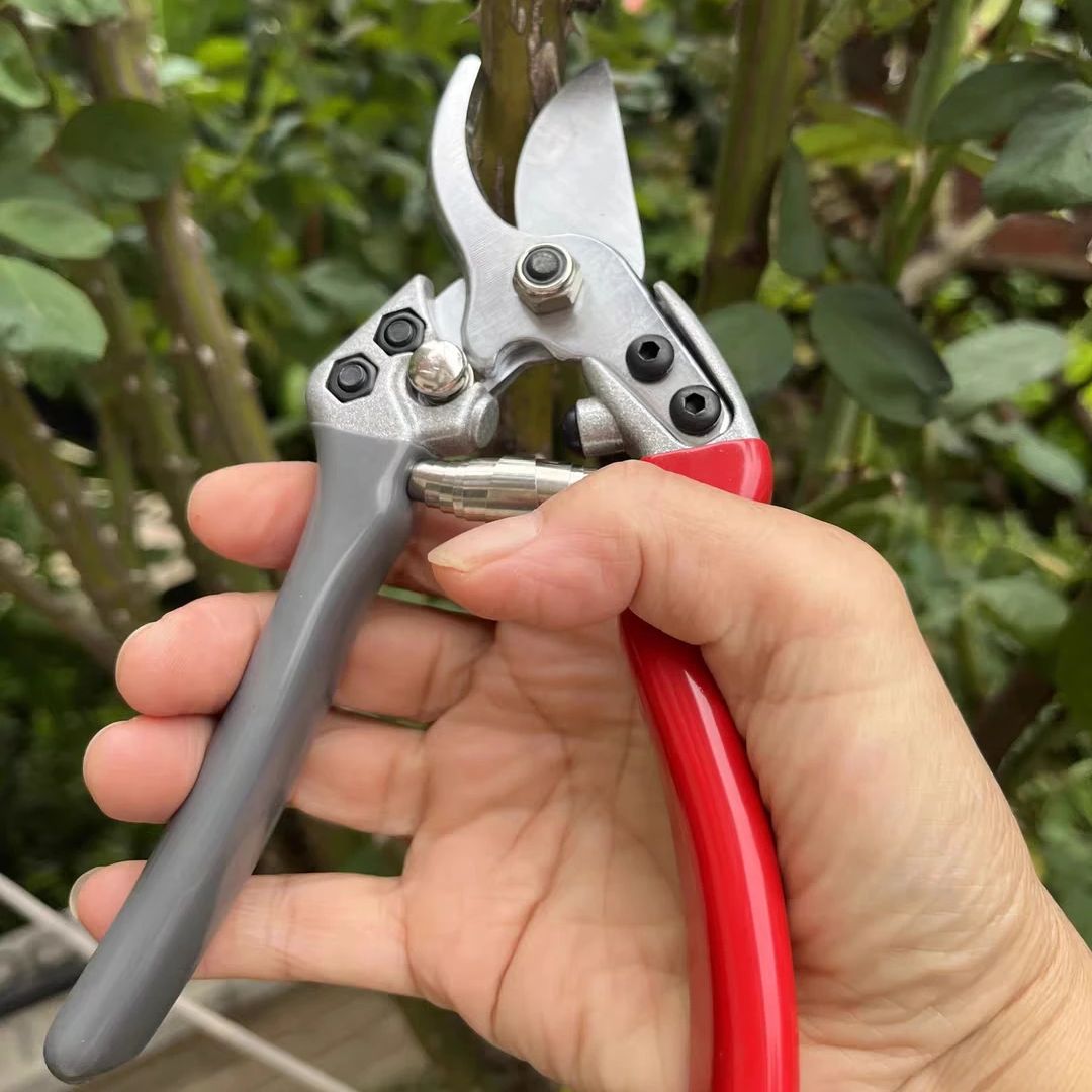 Japan Vvt New Sk5 Strong Garde - Gardening Tools Japan 评论和价格