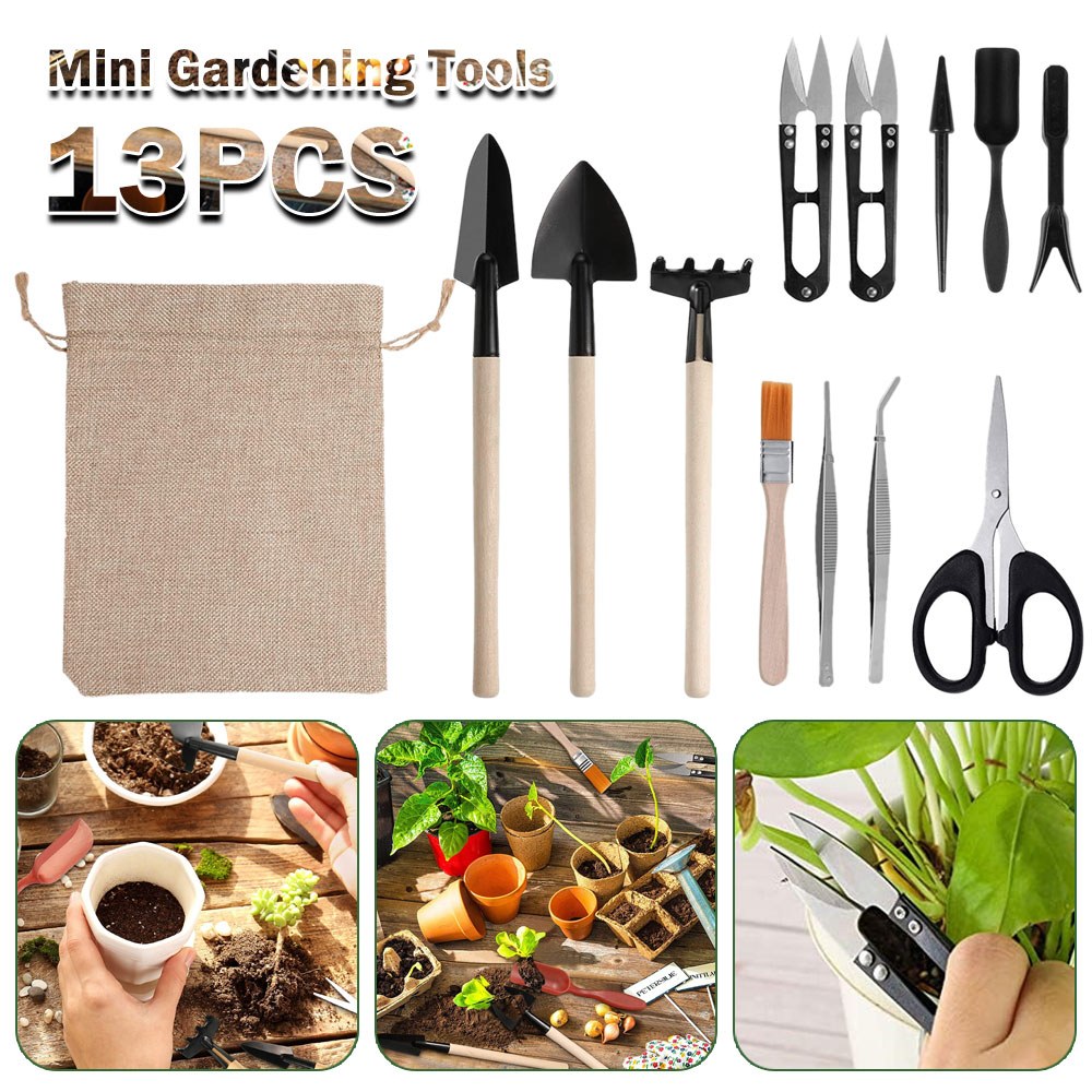 Succulent Plants Tools Mini Ga - Gardening Tools Sale 评论和价格