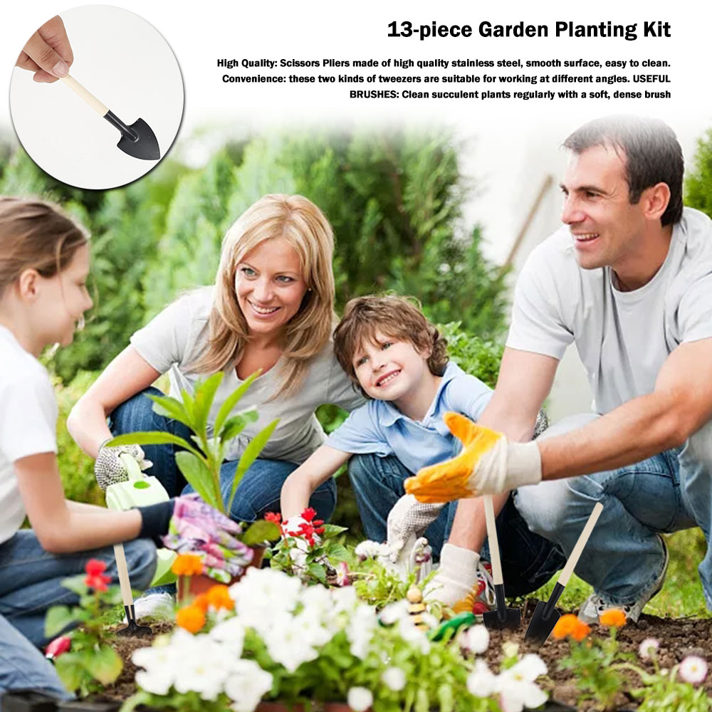 Succulent Plants Tools Mini Ga - Gardening Tools Sale 评论和价格