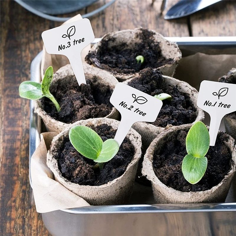 RANA Plant Labels 300Pcs 4 Inc - Gardening Tools Names 评论和价格