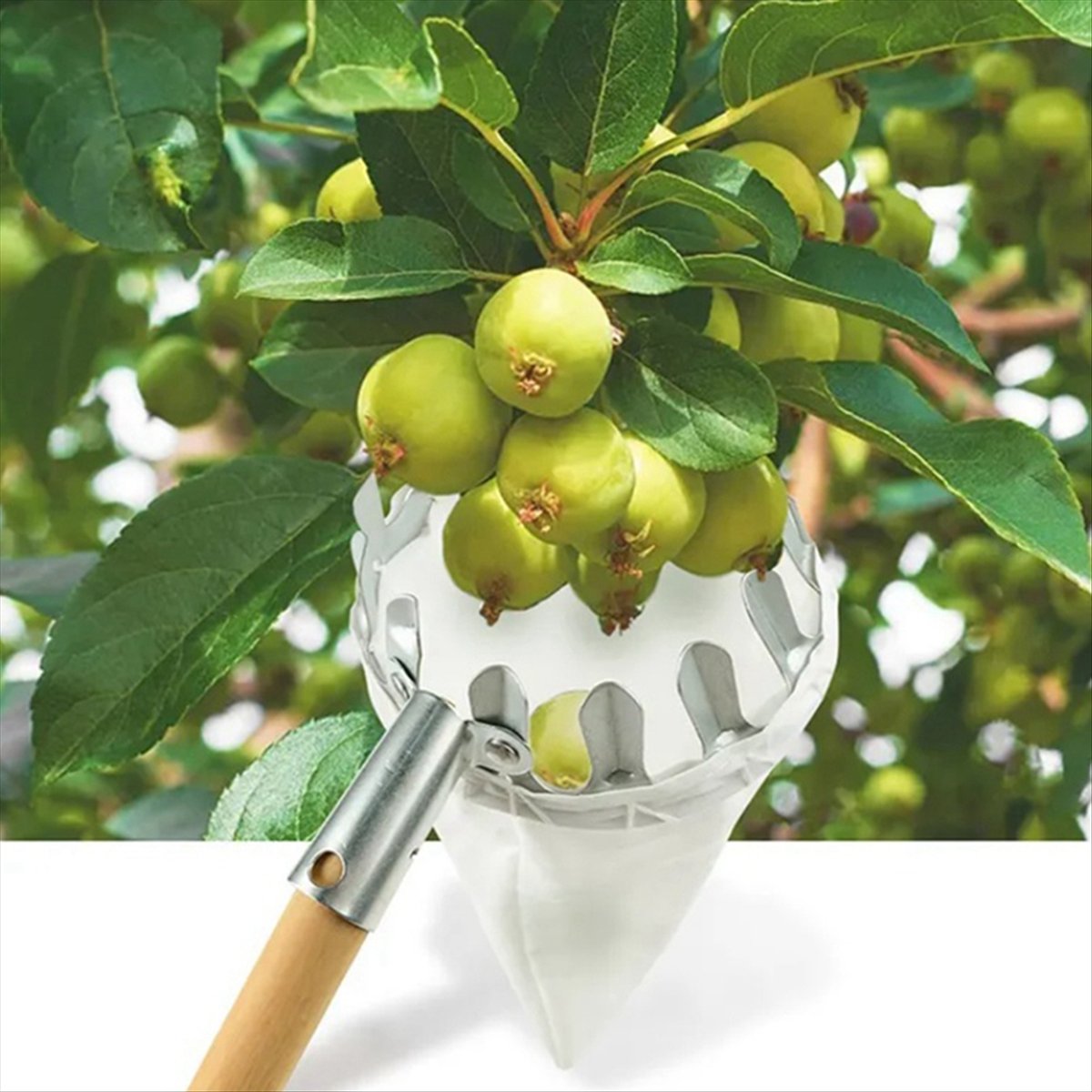 【Clearance Sale】Metal Fruit Pi - Gardening Tools For Sale 评论和价格