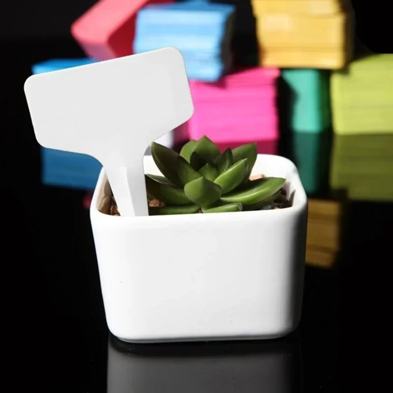 20 Pcs Plastic Waterproof Plan - Gardening Tools Names 评论和价格
