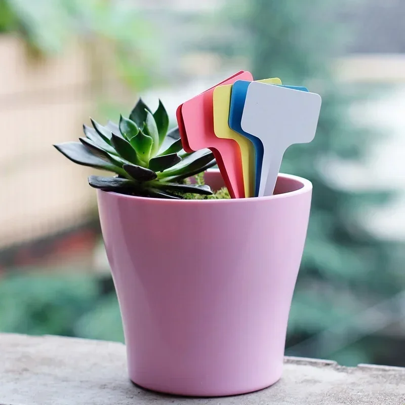 20 Pcs Plastic Waterproof Plan - Gardening Tools Names 评论和价格