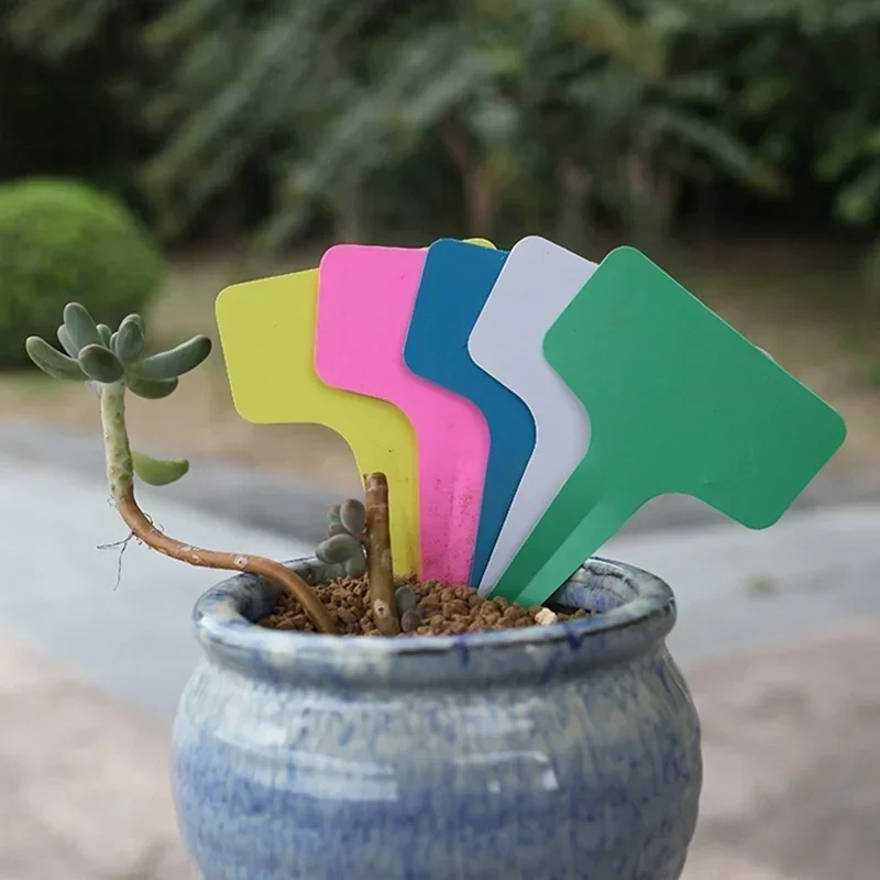 20 Pcs Plastic Waterproof Plan - Gardening Tools Names 评论和价格