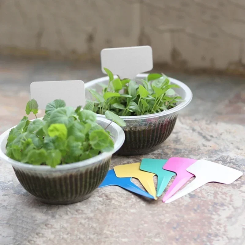 20 Pcs Plastic Waterproof Plan - Gardening Tools Names 评论和价格