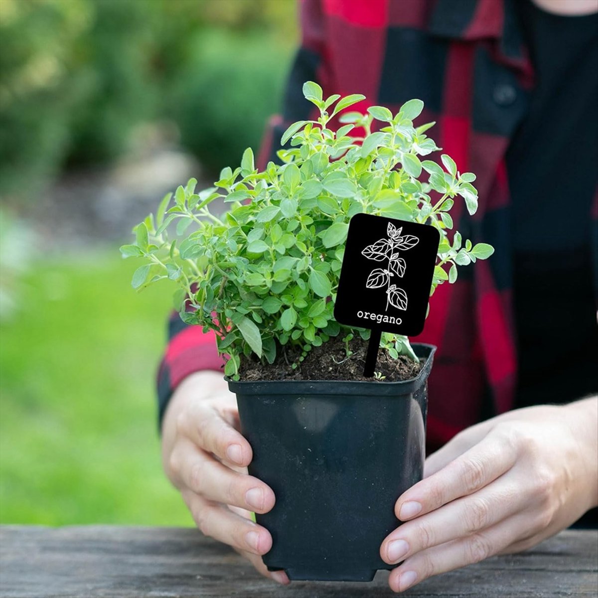 AA14 24Pcs Acrylic Plant Label - Gardening Tools Names 评论和价格