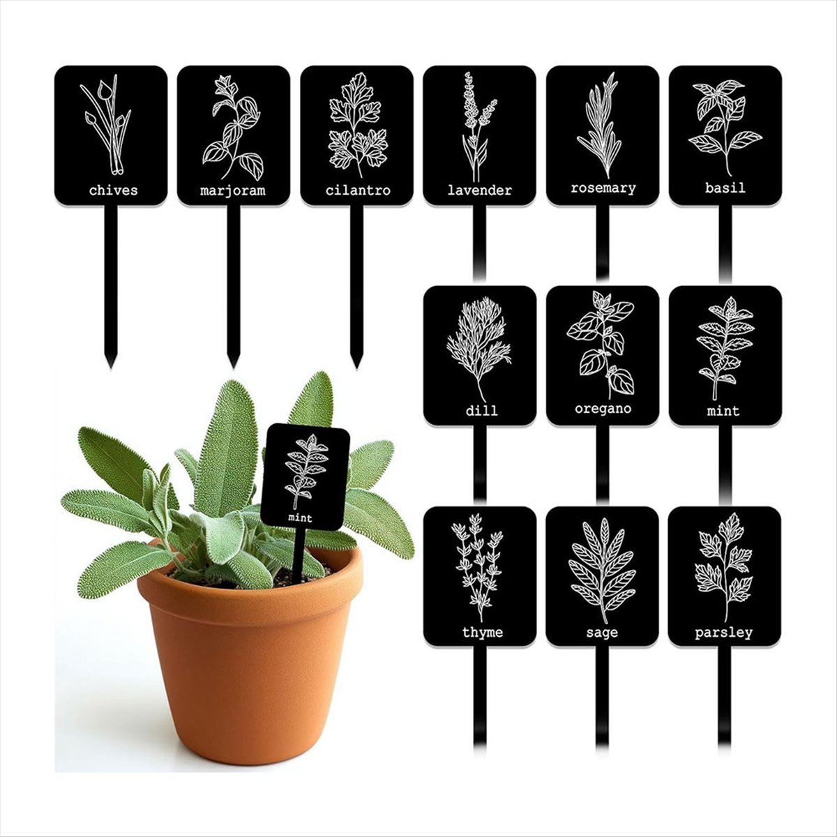 AA14 24Pcs Acrylic Plant Label - Gardening Tools Names 评论和价格