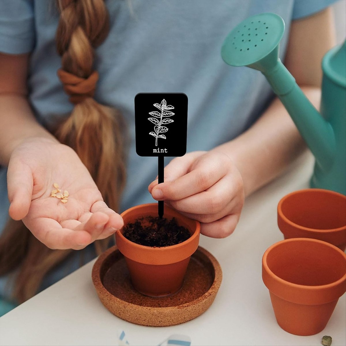 AA14 24Pcs Acrylic Plant Label - Gardening Tools Names 评论和价格