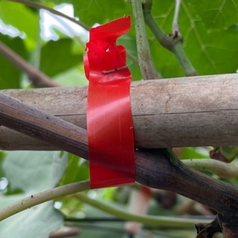 Grape Branch Binding Machine S - Gardening Tools Hand 评论和价格