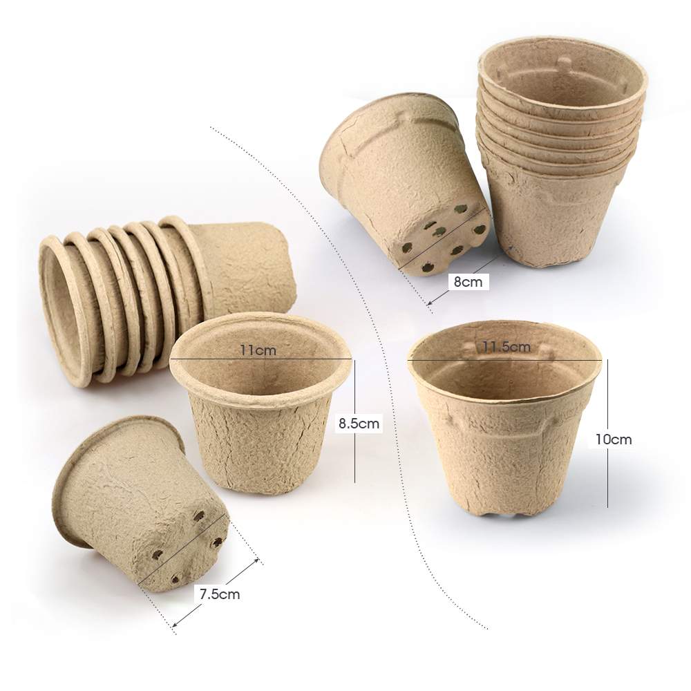 Home Garden 11cm Round Biodegr - Seed Starter Trays 评论和价格
